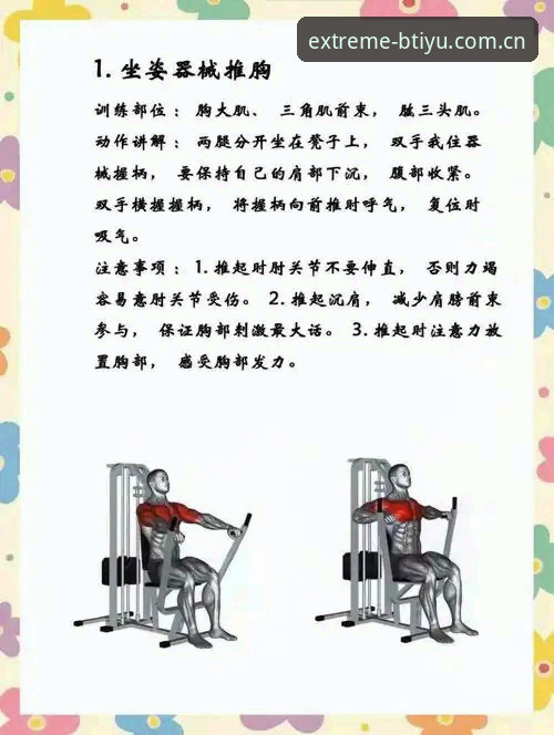 BTIYU体育平台推荐：新手必看的高效使用指南